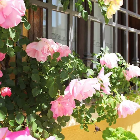 Pilati Bed & Breakfast
