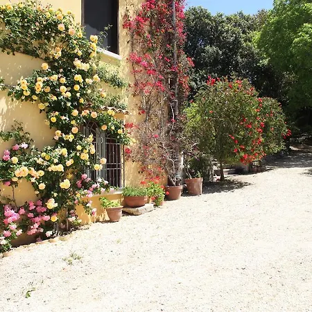 Bed & Breakfast Pilati